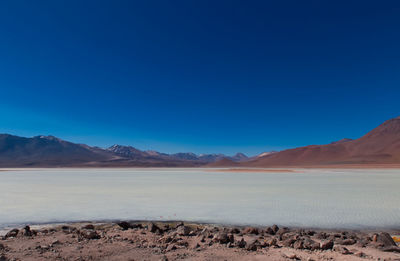 Scenic view of landscape against clear blue sky