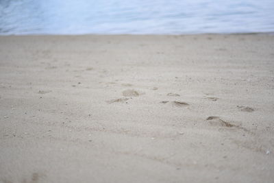 Close-up of sand on beach