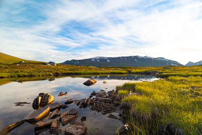 A beautiful small mountain lake in sarek national park, sweden during august. 