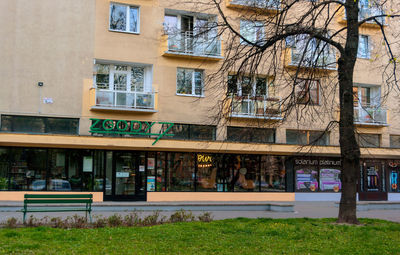 Houses by street in city