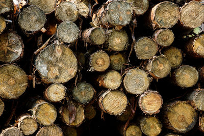 Full frame shot of logs