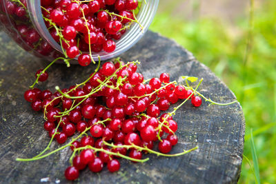 High angle view of strawberries on table