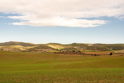 Scenic view of agricultural field against sky