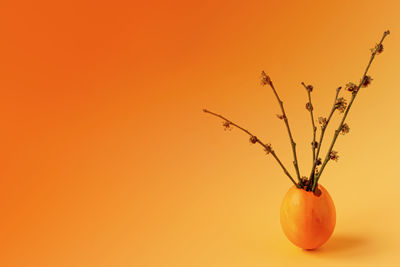 Close-up of orange fruit