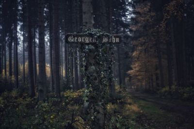 Information sign amidst trees in forest