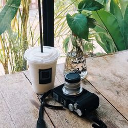 High angle view of potted plant on table