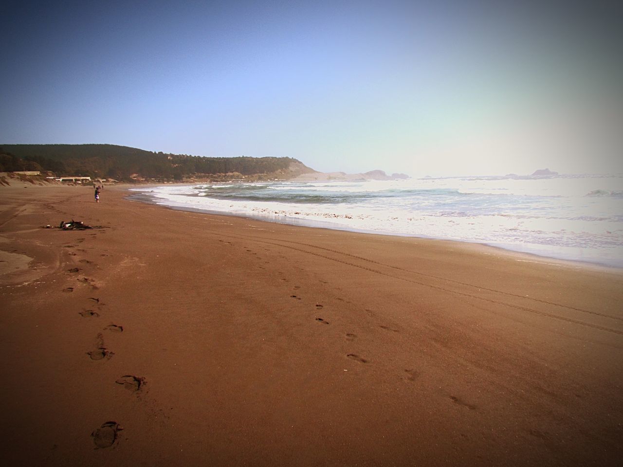 beach, sea, sand, shore, water, horizon over water, tranquil scene, scenics, tranquility, clear sky, beauty in nature, wave, coastline, copy space, nature, surf, sky, idyllic, footprint, incidental people