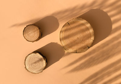 Three wooden disks lie on a trendy beige background with flower shadows. a platform made of tree