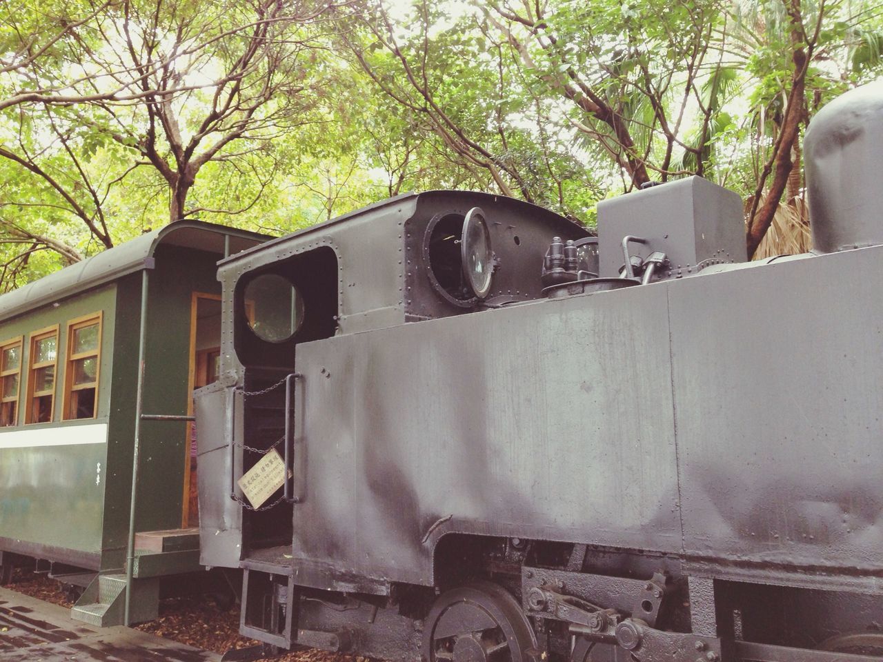 tree, transportation, land vehicle, mode of transport, car, old, railroad track, abandoned, rail transportation, old-fashioned, train - vehicle, day, public transportation, building exterior, obsolete, retro styled, no people, built structure, travel, outdoors