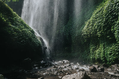 Madakaripura - the beautiful waterfall in east java, indonesia