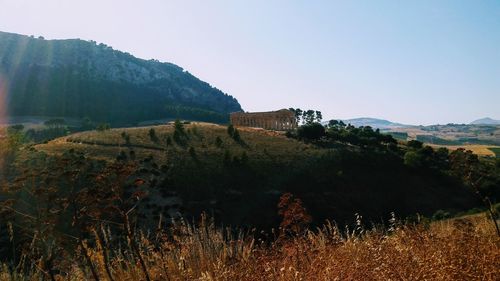 Scenic view of field against clear sky