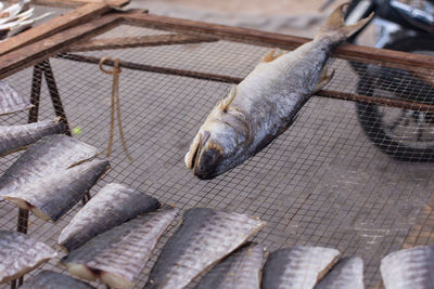 Close-up of fishes at market stall for sale