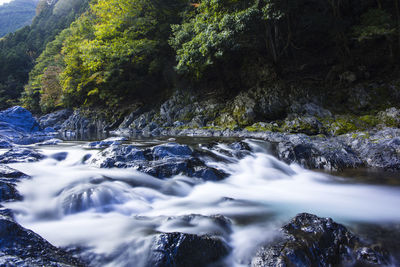 Autumn leaves of tamagawa gorge