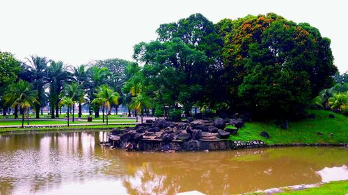 Pond in park