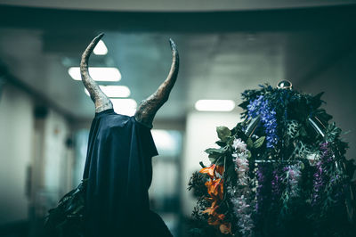 Close-up of flowers and horn in illuminated room