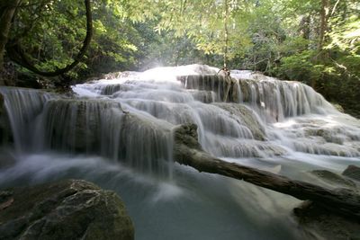 Scenic view of waterfall in forest