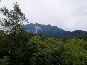 Scenic view of tree mountains against sky