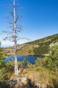 Scenic view of lake against clear blue sky