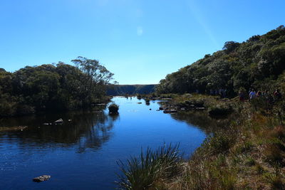 Scenic view of lake in forest against clear blue sky