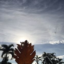 Low angle view of trees against cloudy sky