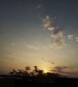 Silhouette trees against sky during sunset