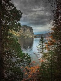 Scenic view of forest against sky during autumn