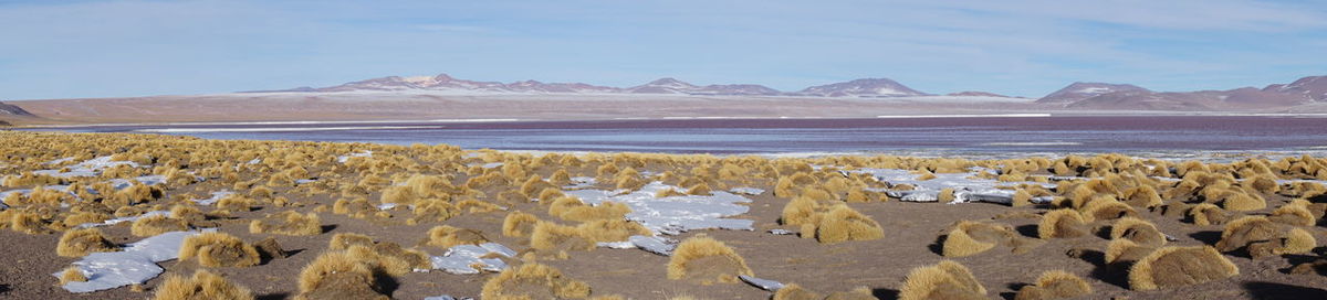 Scenic view of desert against sky