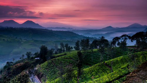 Scenic view of landscape against sky during sunset