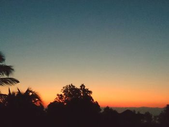 Low angle view of silhouette trees against sky during sunset