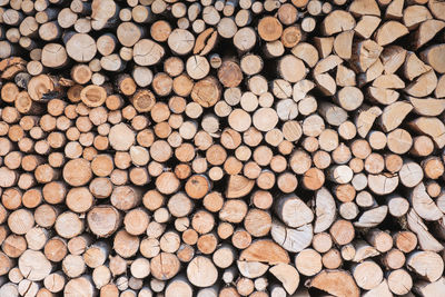 Full frame shot of logs in forest