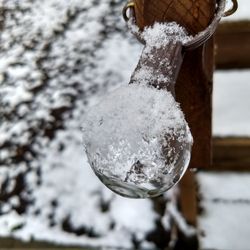 Close-up of ice crystals against trees