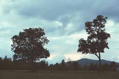 Scenic view of grassy field against sky