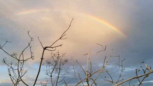 Scenic view of rainbow against sky