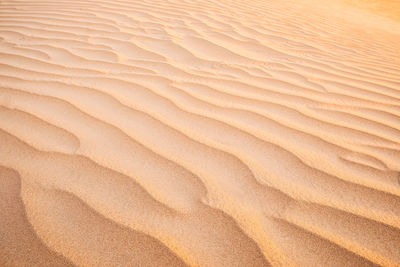 Full frame shot of sand dune