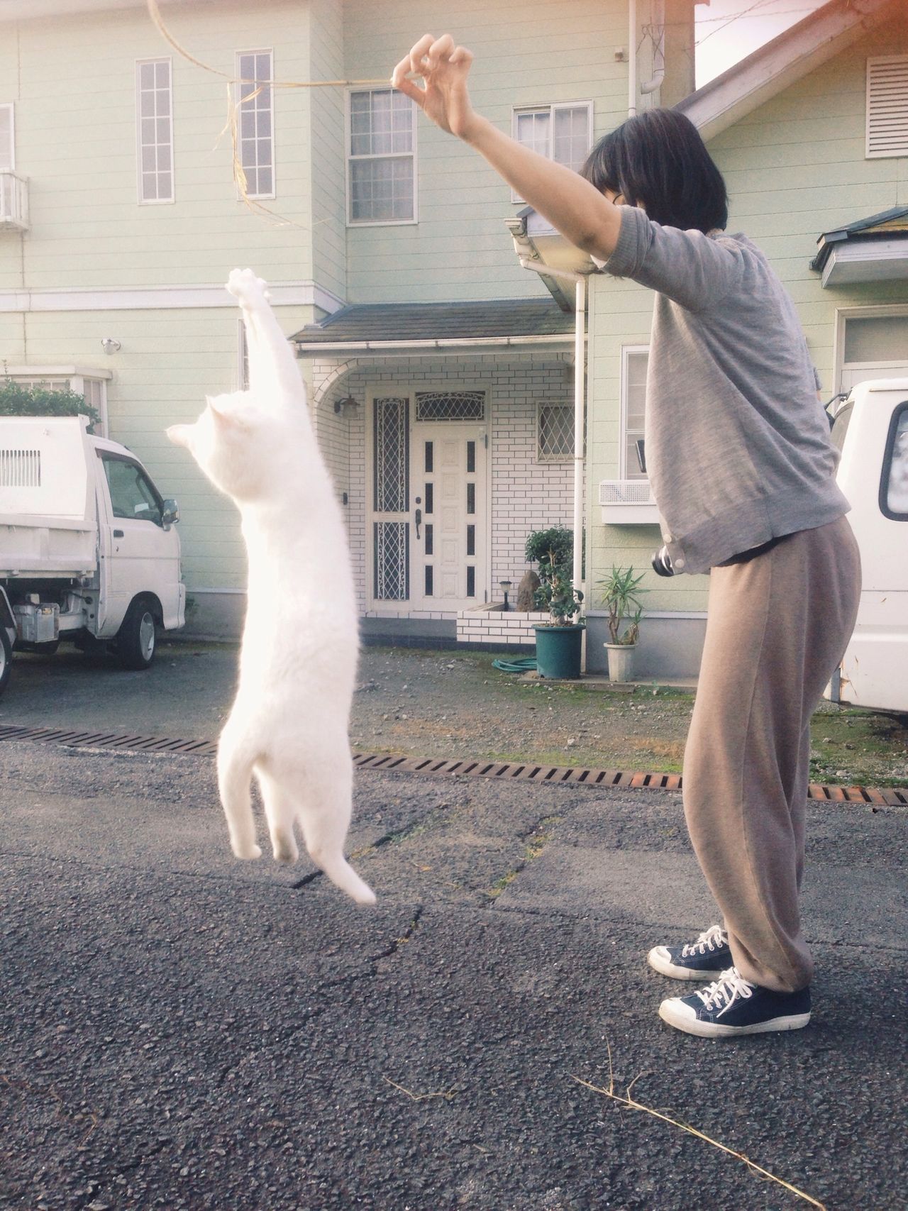 ペンション 星のきかんしゃ