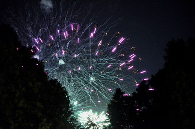 Low angle view of firework display at night