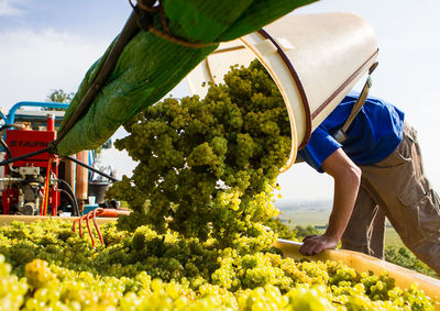 Man working on cutting board