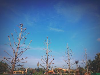 Low angle view of trees against blue sky