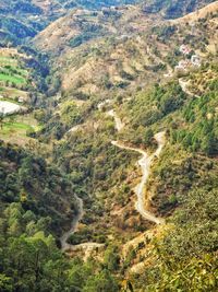 High angle view of trees