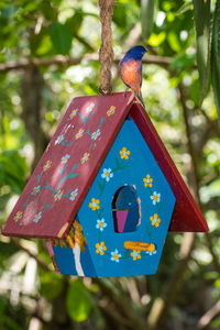 Close-up of bird perching on birdhouse