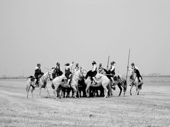 Horses on field against clear sky