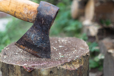 Close-up of rusty metal tree stump