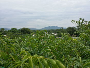 Scenic view of mountains against cloudy sky