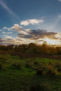 Scenic view of field against sky