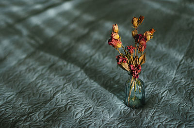 Close-up of wilted flower in vase