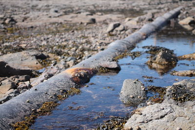 Close-up of water pipe amidst rock