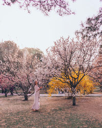 Woman standing by cherry tree against sky during autumn