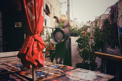 Rear view of woman standing in greenhouse