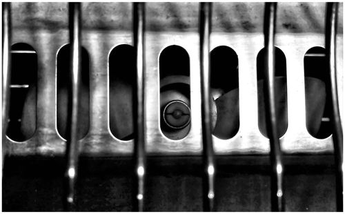 Close-up view of row