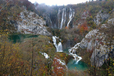 Scenic view of waterfall in forest